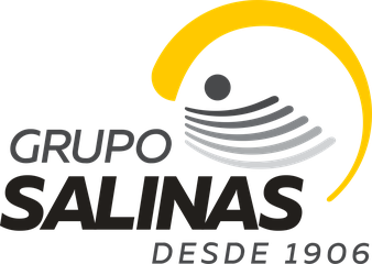 Grupo Salinas